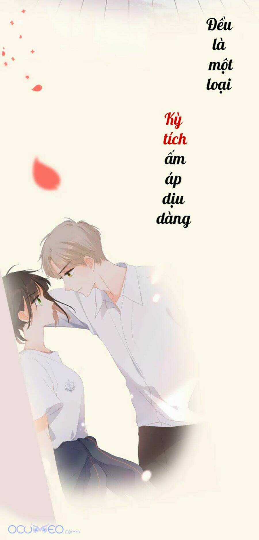 Lại Gặp Được Em - Chapter 0.2 - Trang 3