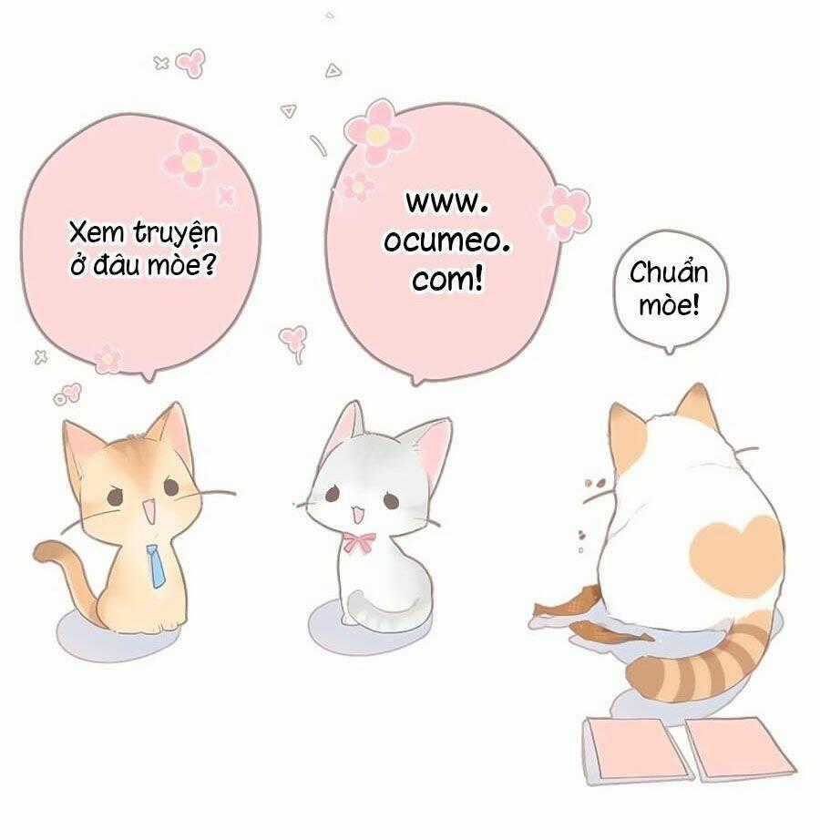 Lại Gặp Được Em - Chapter 100 - Trang 34