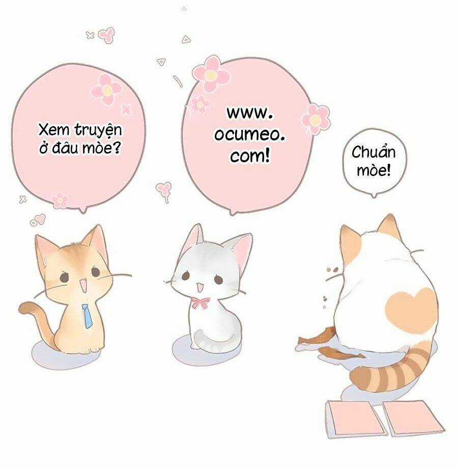 Lại Gặp Được Em - Chapter 106 - Trang 27