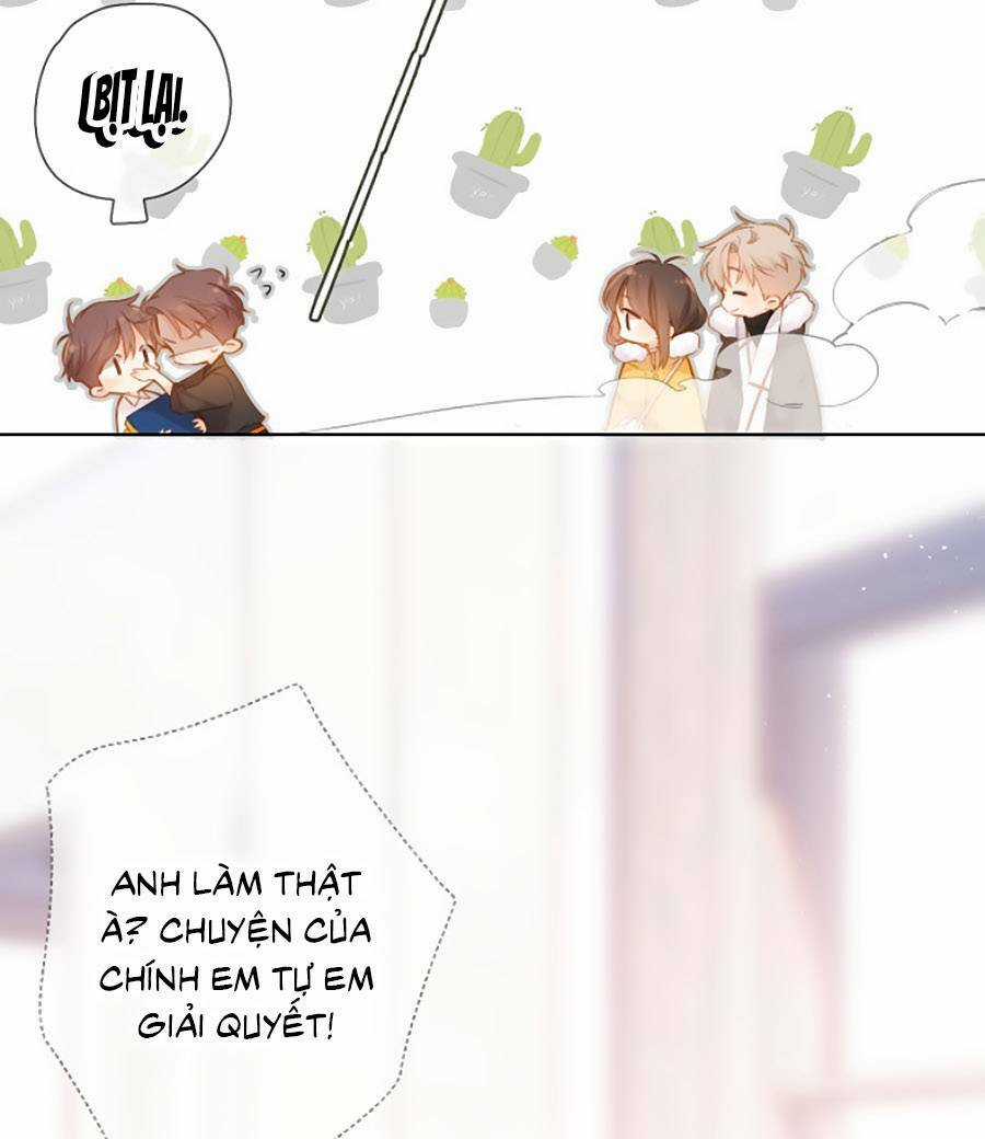 Lại Gặp Được Em - Chapter 112 - Trang 3