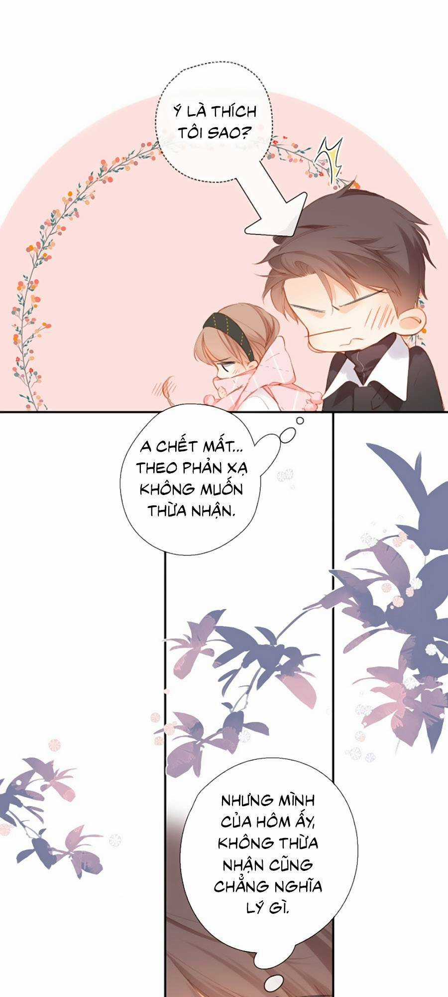 Lại Gặp Được Em - Chapter 114 - Trang 14