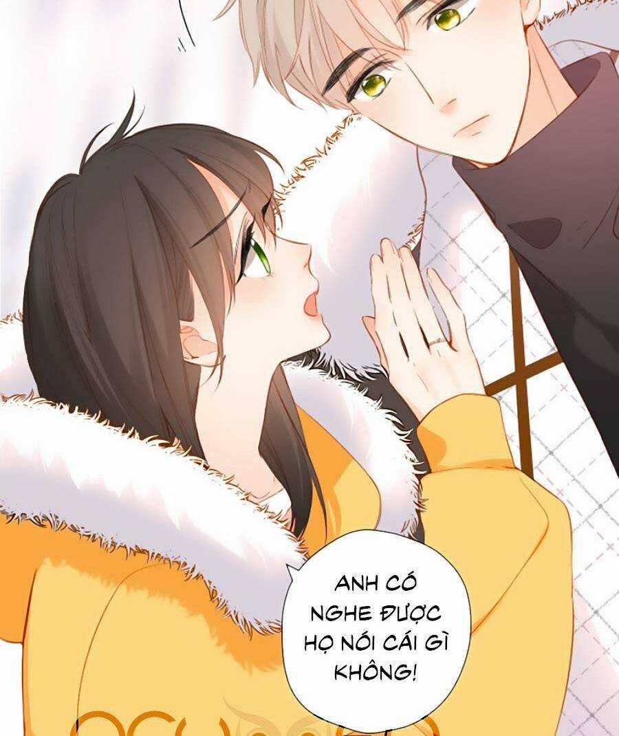 Lại Gặp Được Em - Chapter 114 - Trang 4