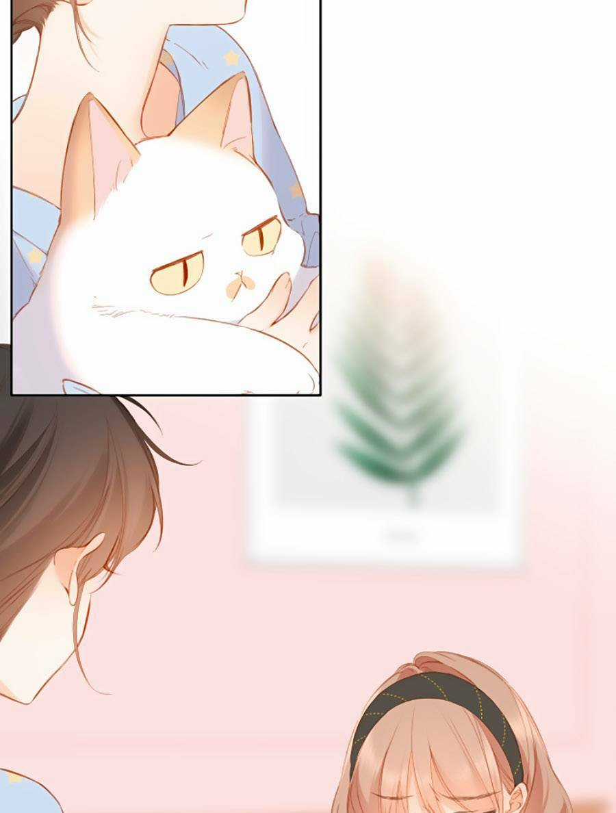 Lại Gặp Được Em - Chapter 115 - Trang 17