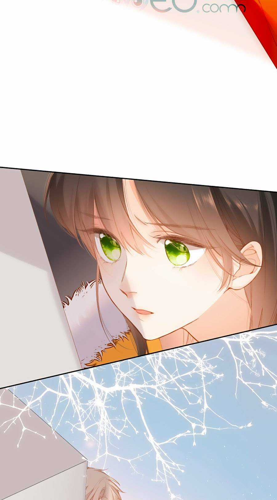 Lại Gặp Được Em - Chapter 115 - Trang 4