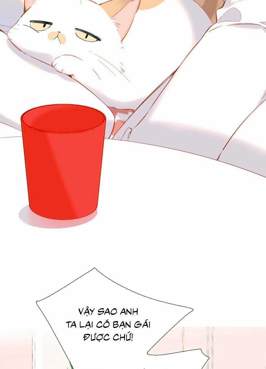 Lại Gặp Được Em - Chapter 116 - Trang 2