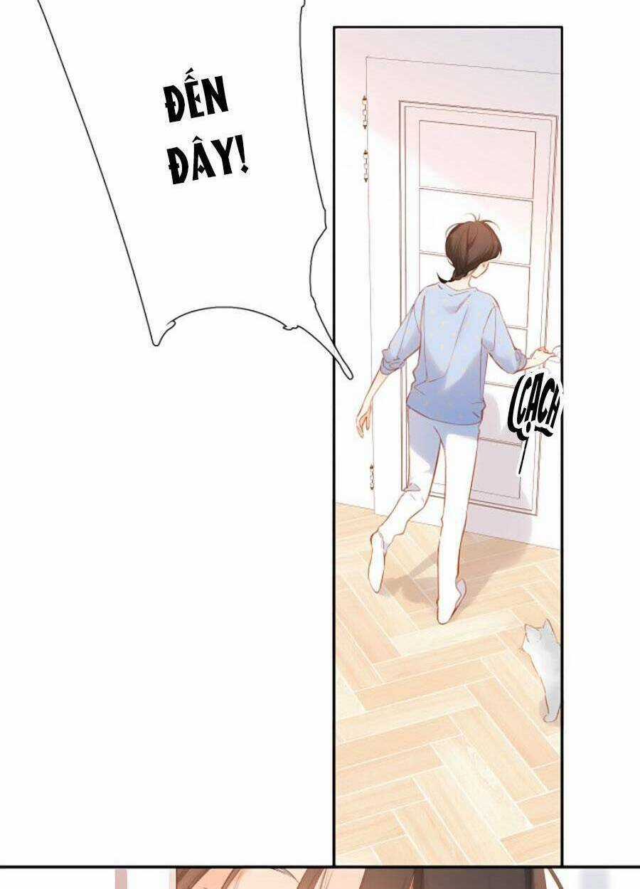 Lại Gặp Được Em - Chapter 117 - Trang 34