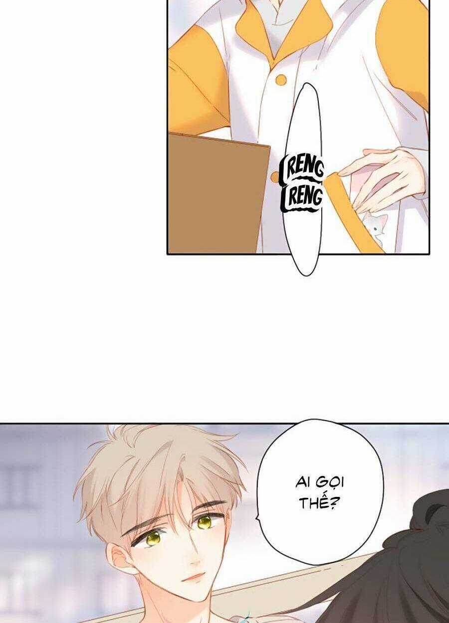 Lại Gặp Được Em - Chapter 122 - Trang 32