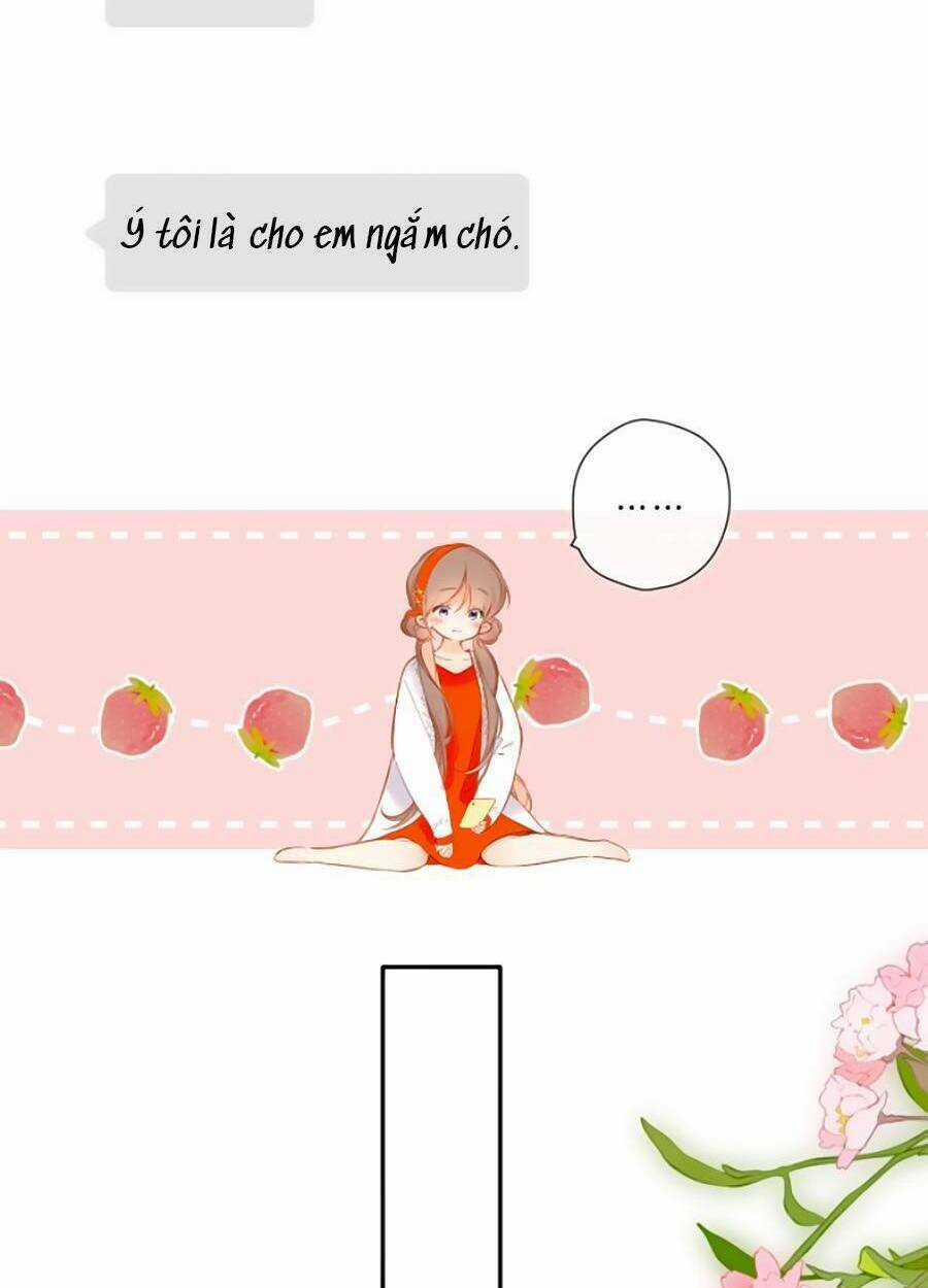 Lại Gặp Được Em - Chapter 125 - Trang 31