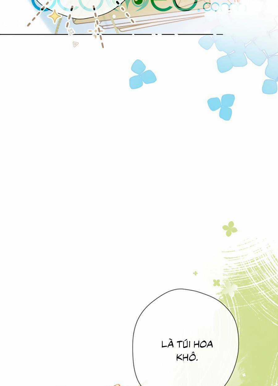 Lại Gặp Được Em - Chapter 129 - Trang 8