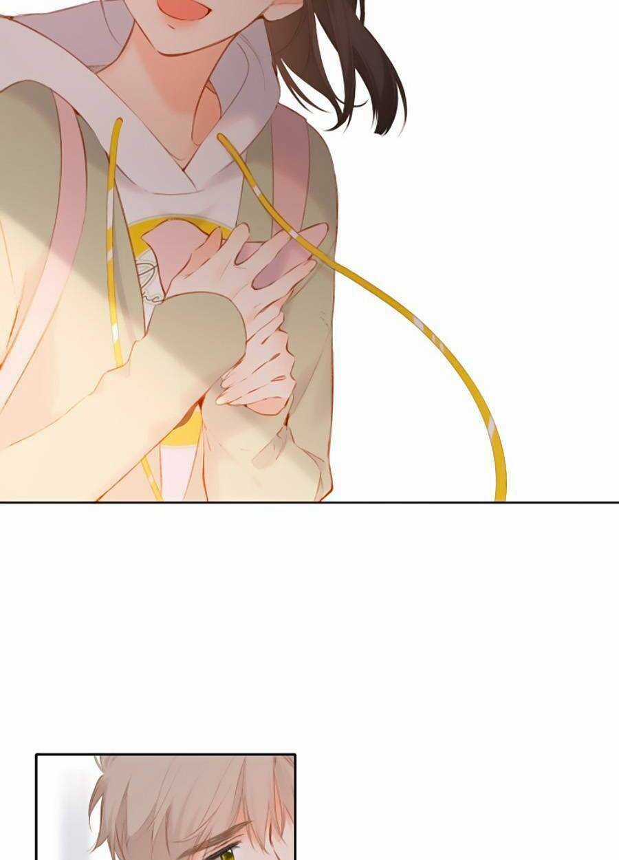 Lại Gặp Được Em - Chapter 131 - Trang 33