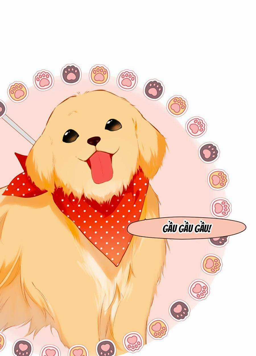 Lại Gặp Được Em - Chapter 134 - Trang 2