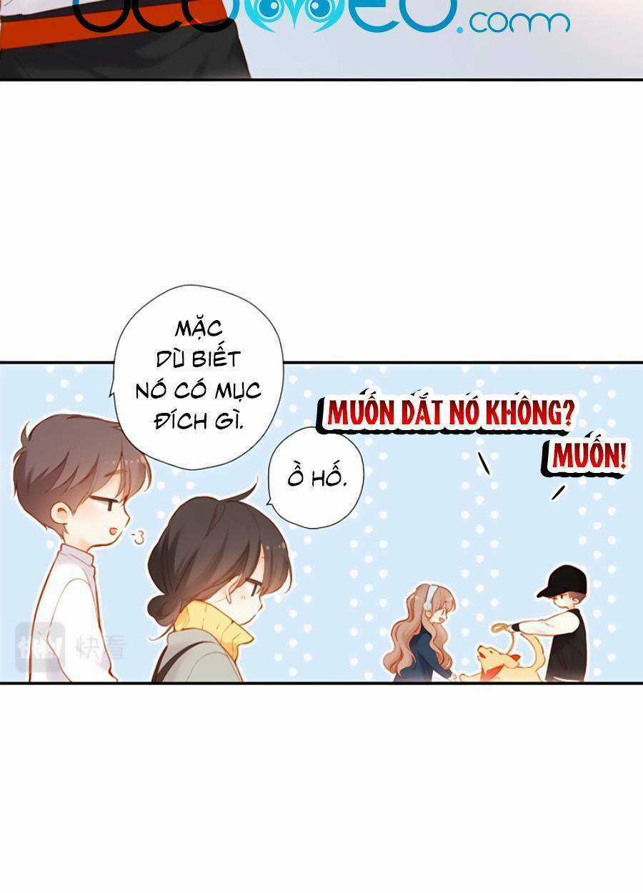 Lại Gặp Được Em - Chapter 134 - Trang 12