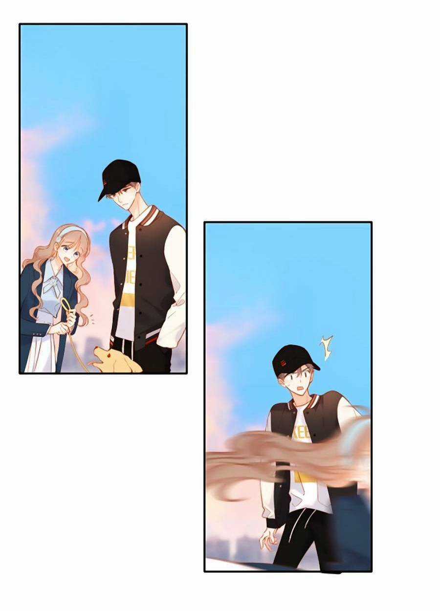 Lại Gặp Được Em - Chapter 134 - Trang 13