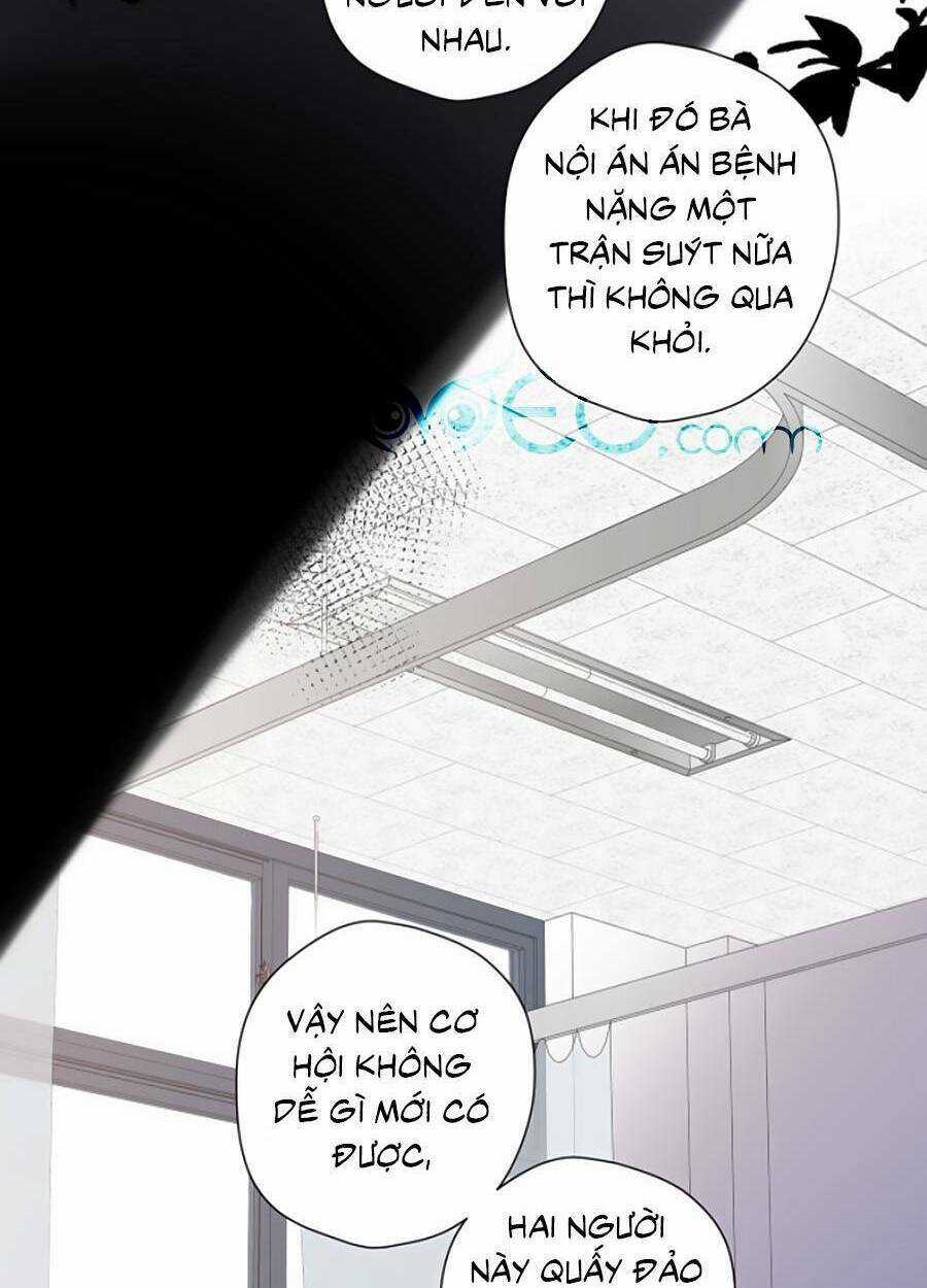 Lại Gặp Được Em - Chapter 135 - Trang 46