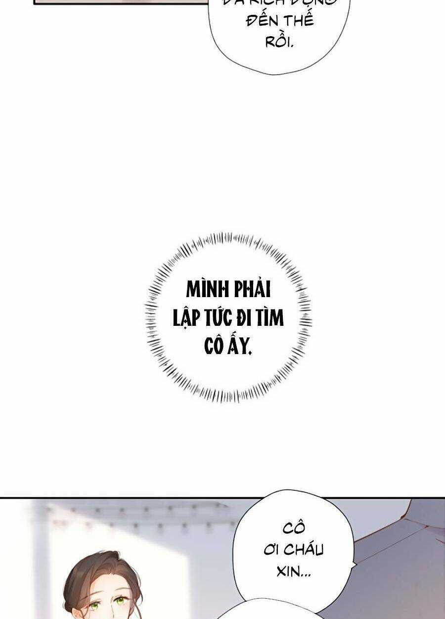 Lại Gặp Được Em - Chapter 136 - Trang 33