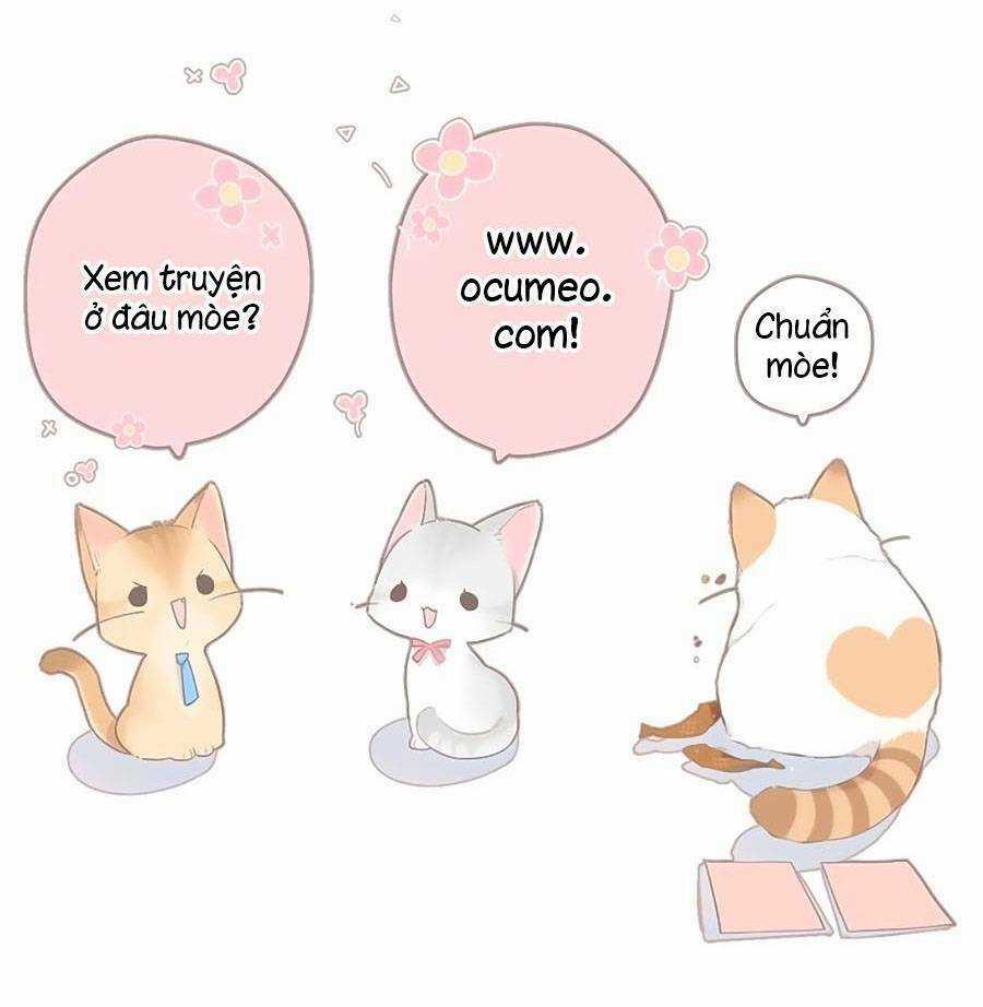 Lại Gặp Được Em - Chapter 137 - Trang 53