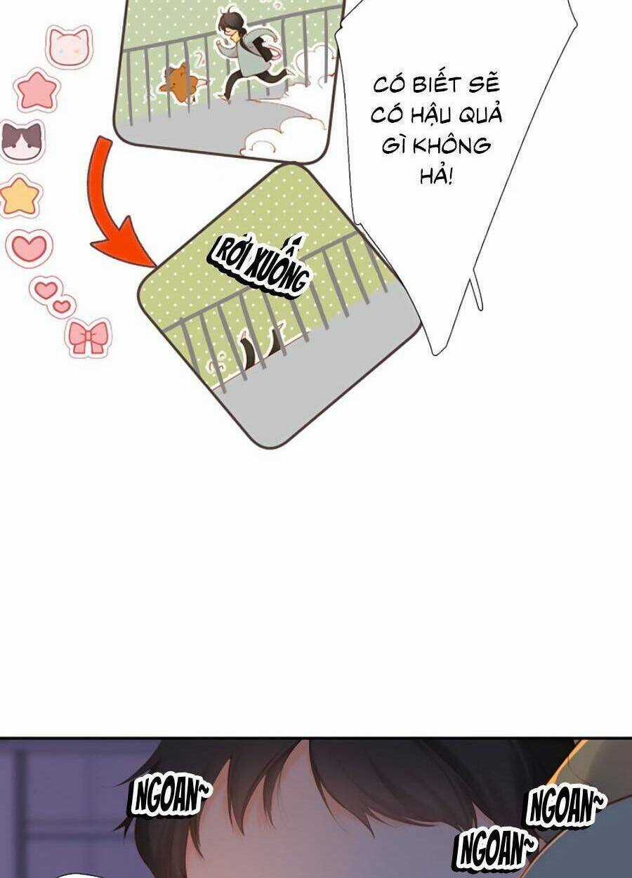 Lại Gặp Được Em - Chapter 138 - Trang 12