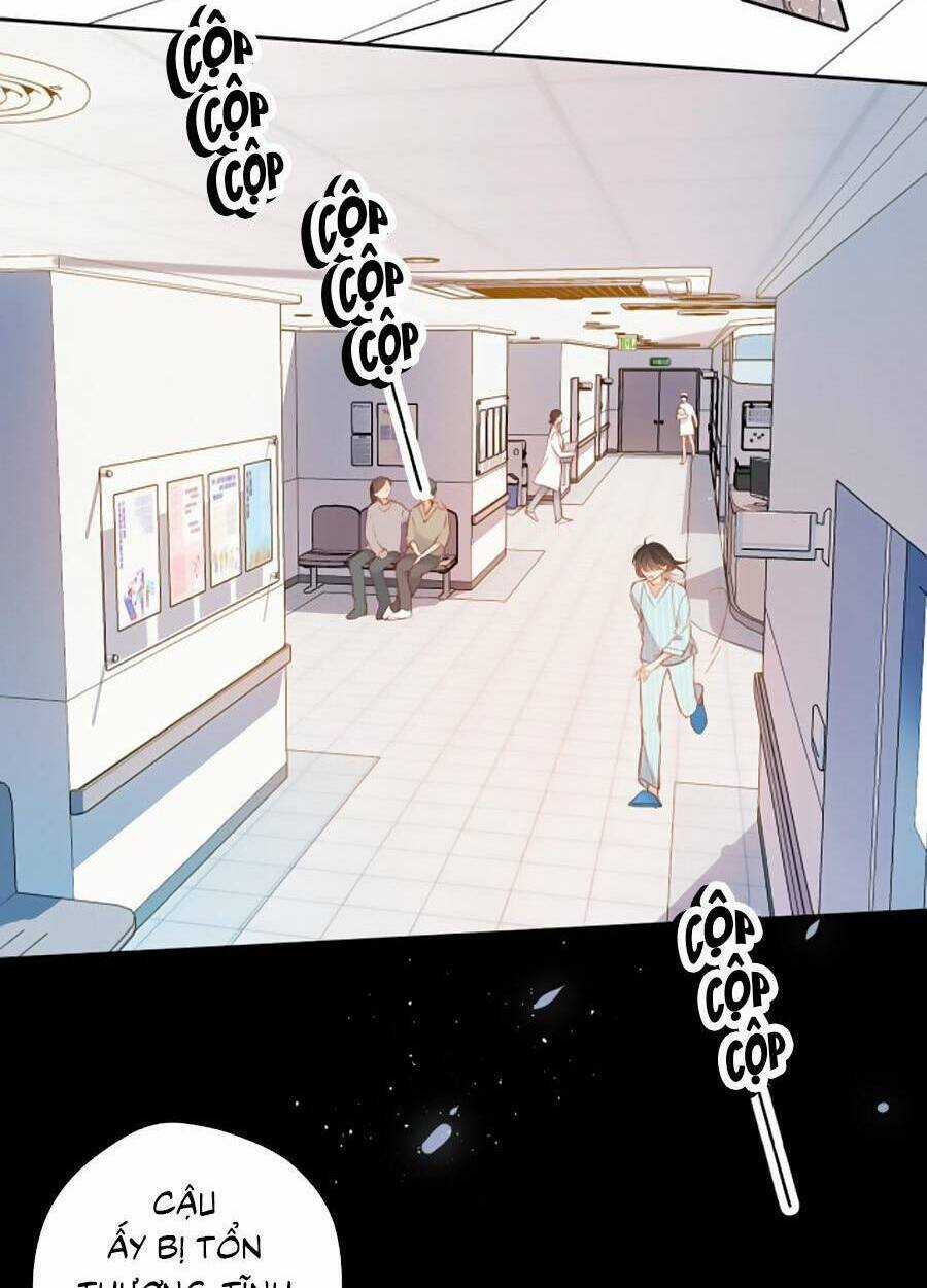 Lại Gặp Được Em - Chapter 140 - Trang 14