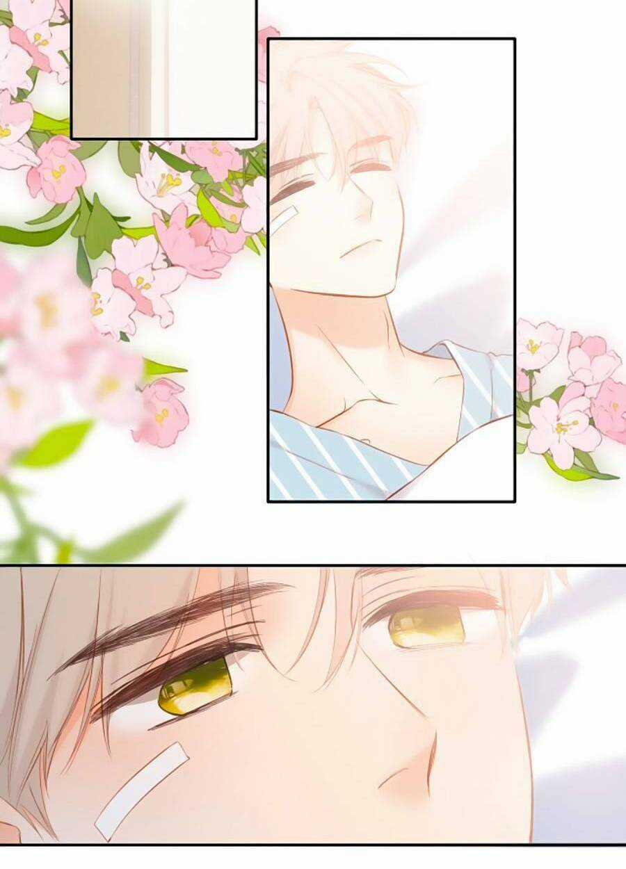 Lại Gặp Được Em - Chapter 140 - Trang 48