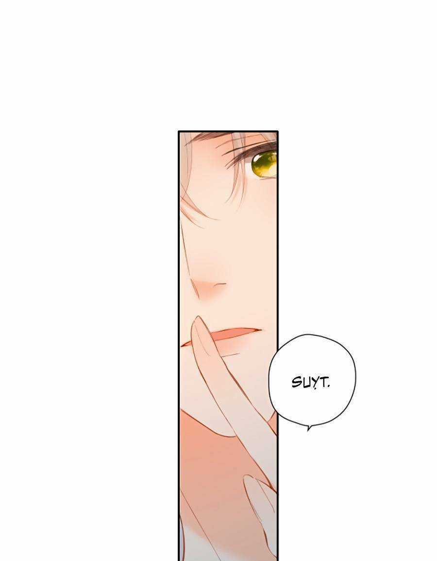 Lại Gặp Được Em - Chapter 140 - Trang 65