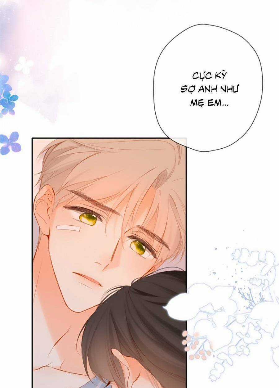 Lại Gặp Được Em - Chapter 141 - Trang 12