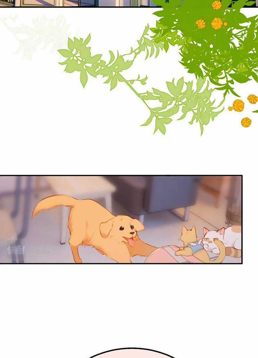 Lại Gặp Được Em - Chapter 141 - Trang 19