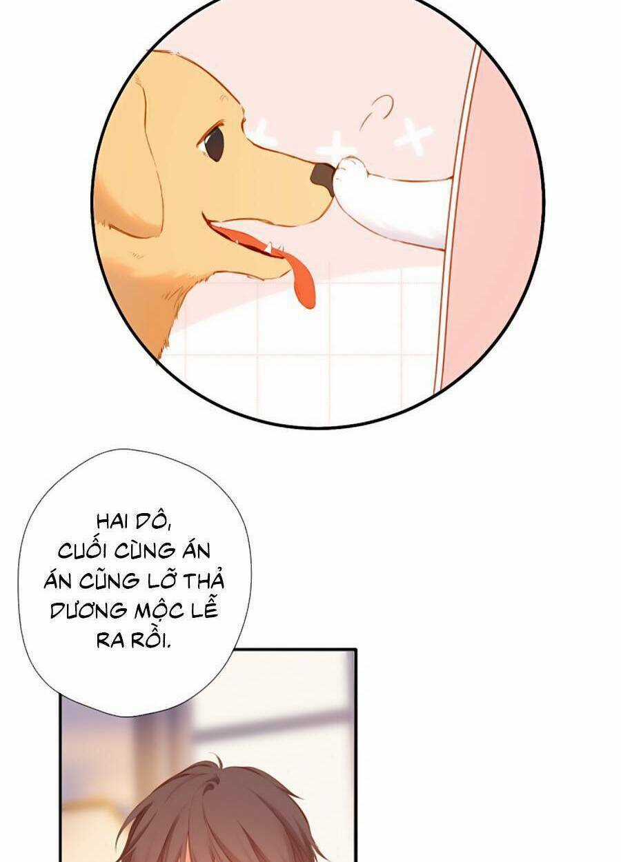 Lại Gặp Được Em - Chapter 141 - Trang 20