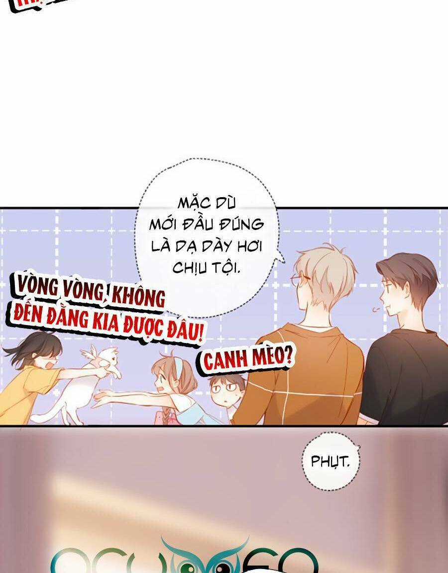 Lại Gặp Được Em - Chapter 141 - Trang 26