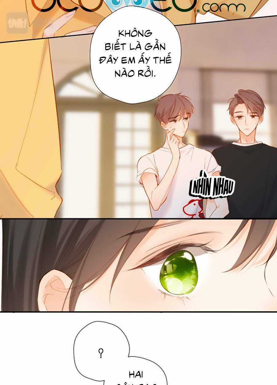 Lại Gặp Được Em - Chapter 141 - Trang 38