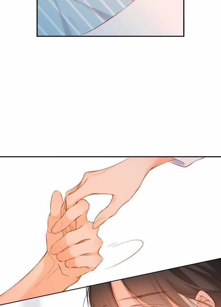 Lại Gặp Được Em - Chapter 141 - Trang 6