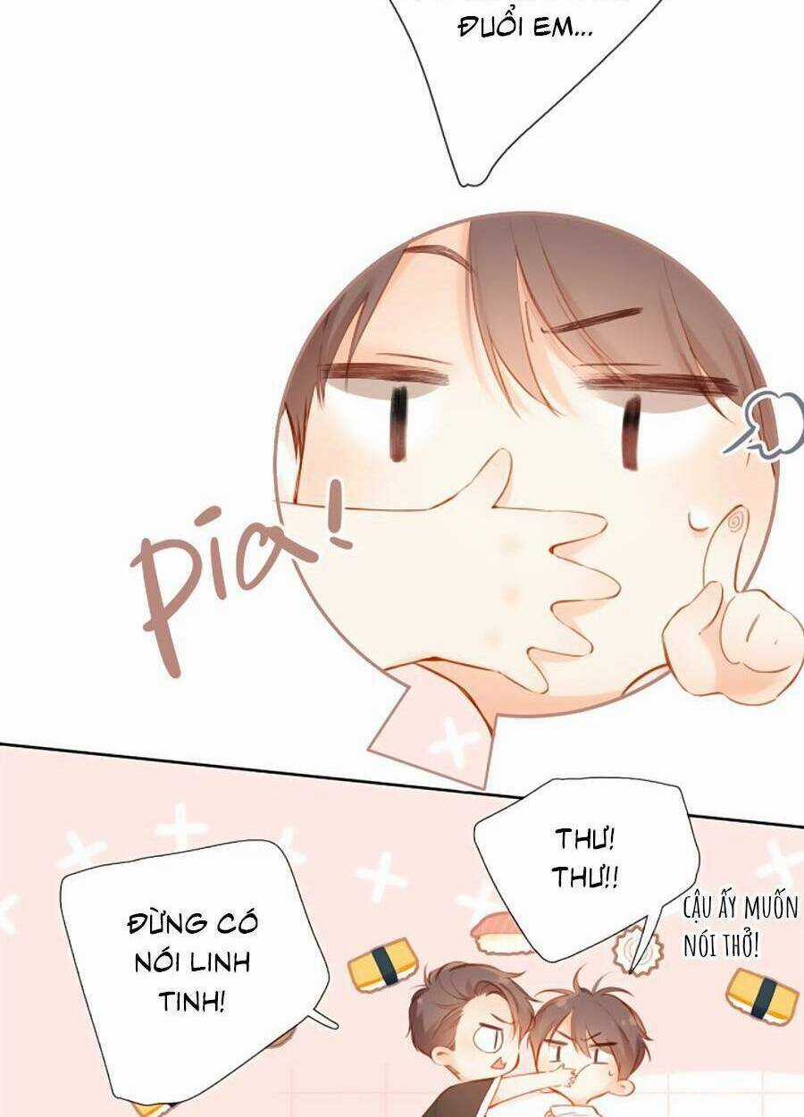 Lại Gặp Được Em - Chapter 142 - Trang 5