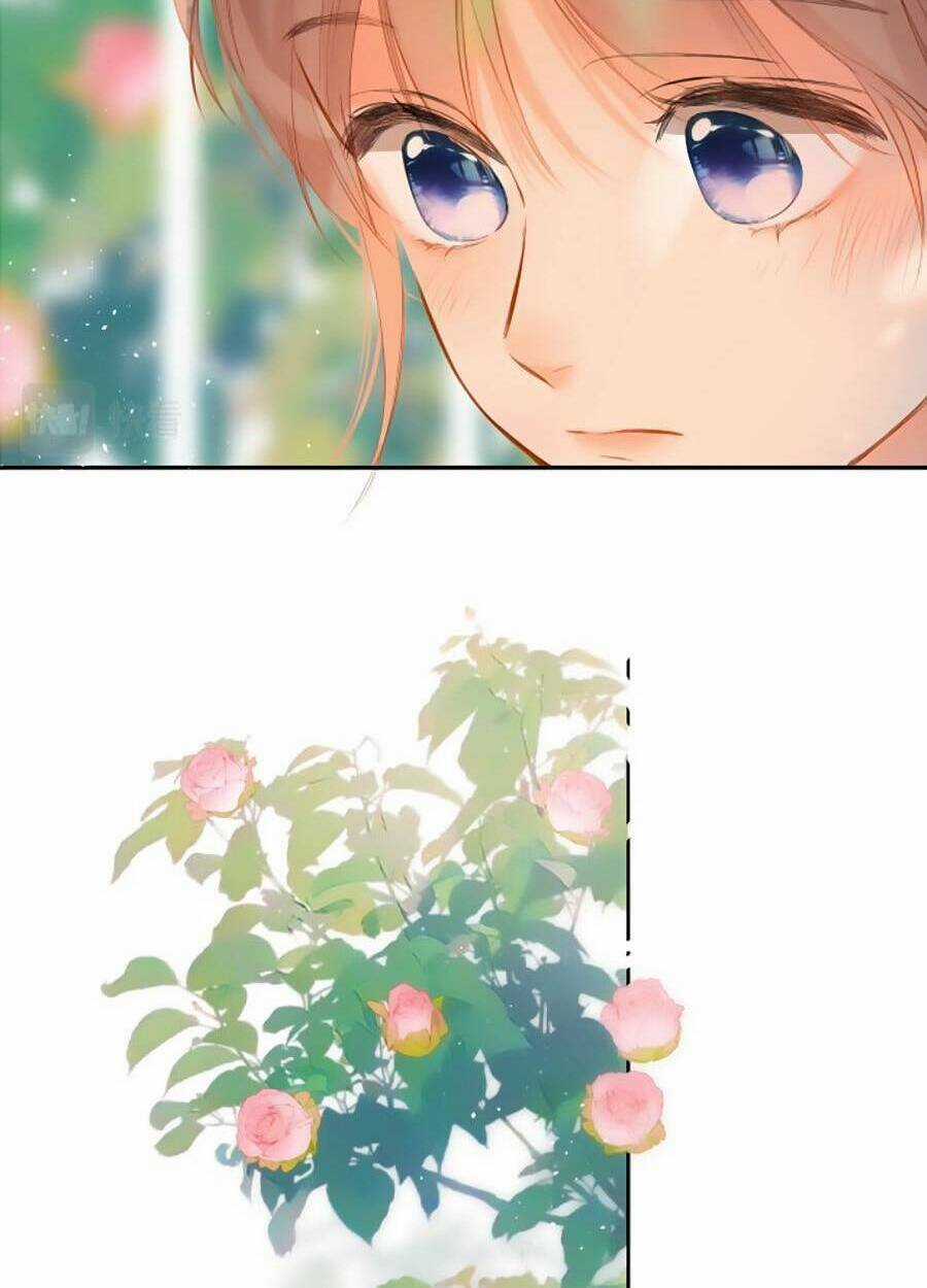 Lại Gặp Được Em - Chapter 142 - Trang 42