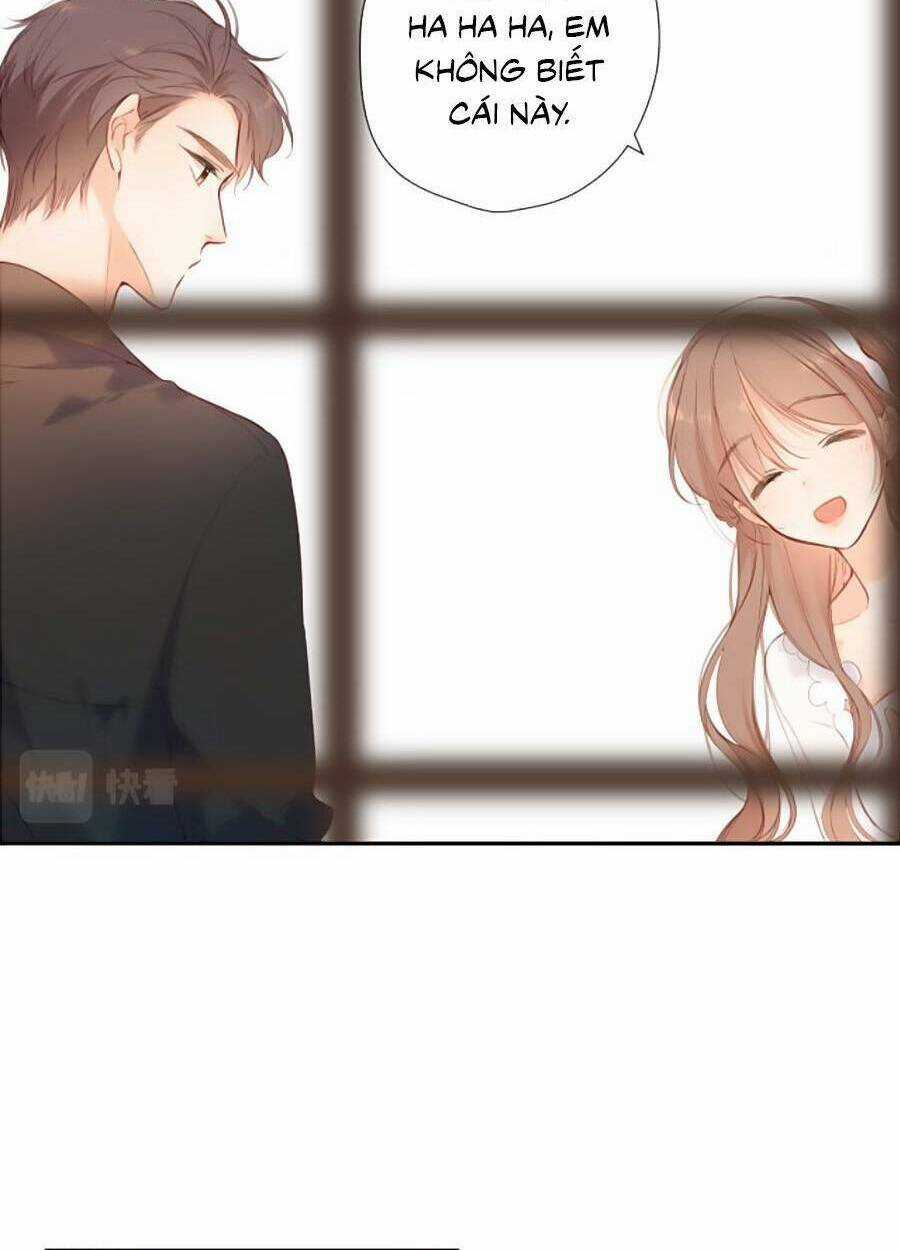 Lại Gặp Được Em - Chapter 146 - Trang 33