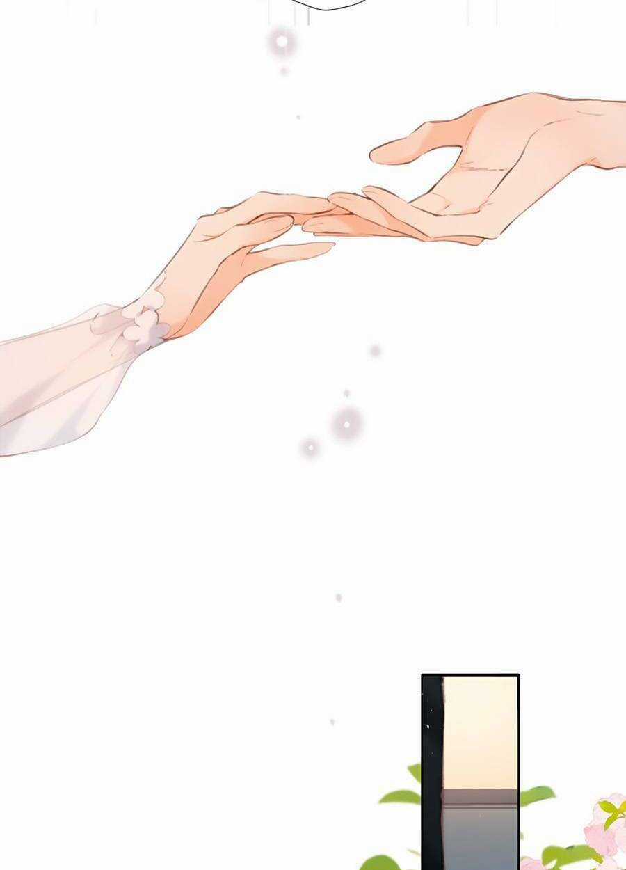 Lại Gặp Được Em - Chapter 146 - Trang 41