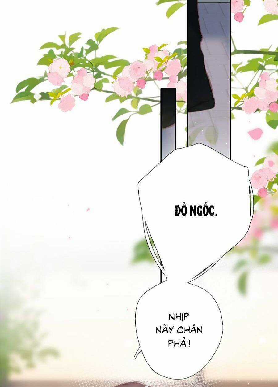 Lại Gặp Được Em - Chapter 146 - Trang 42