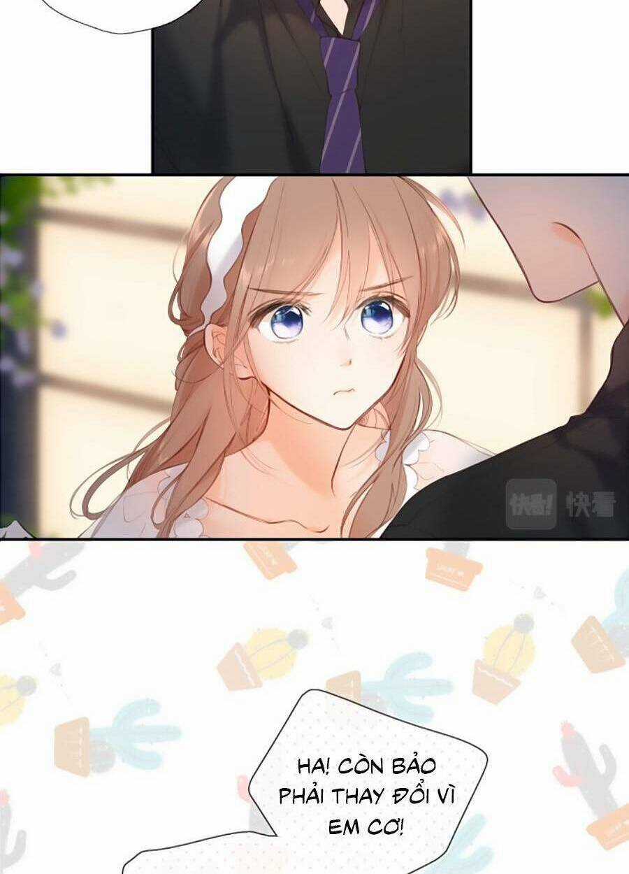 Lại Gặp Được Em - Chapter 146 - Trang 47