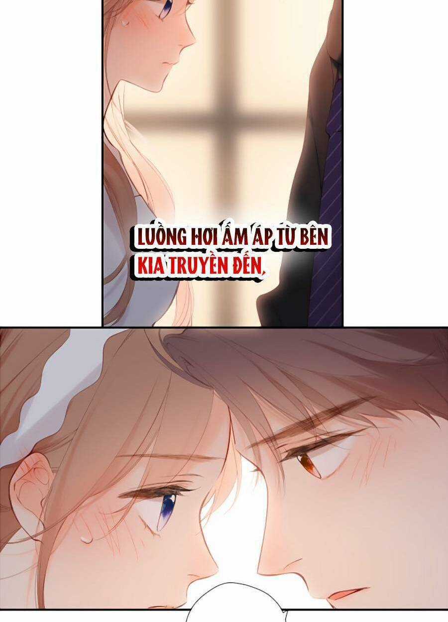 Lại Gặp Được Em - Chapter 146 - Trang 68