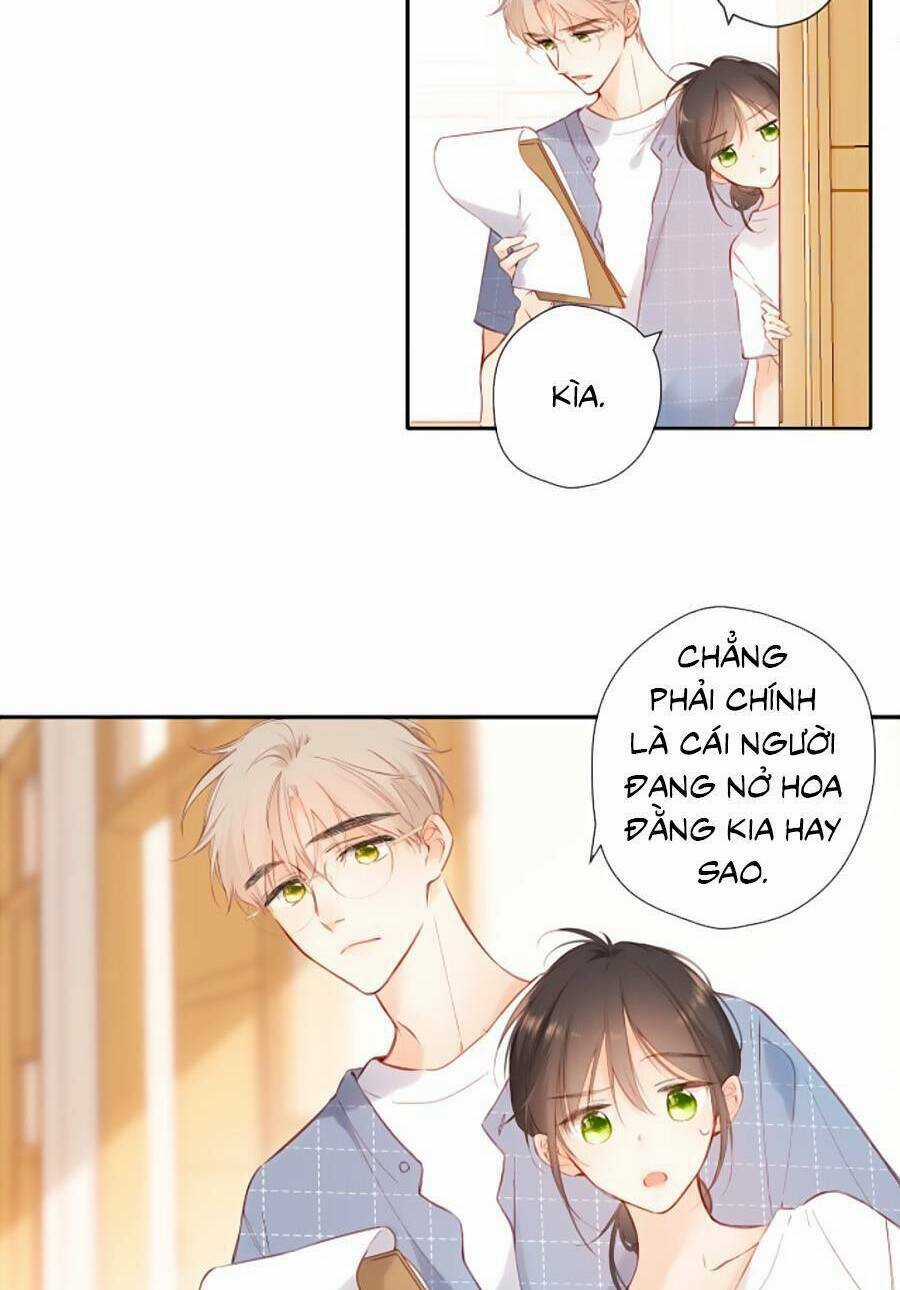 Lại Gặp Được Em - Chapter 147 - Trang 14