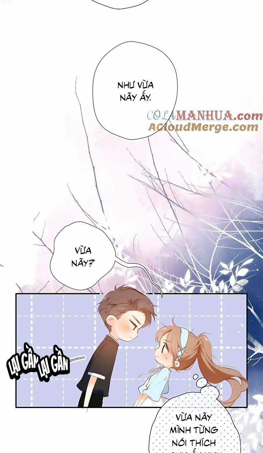 Lại Gặp Được Em - Chapter 148.1 - Trang 41