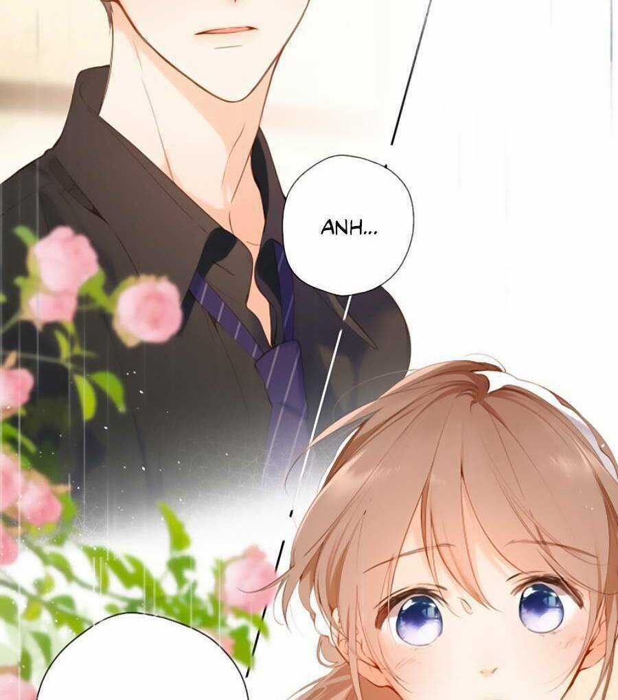 Lại Gặp Được Em - Chapter 148.5 - Trang 13