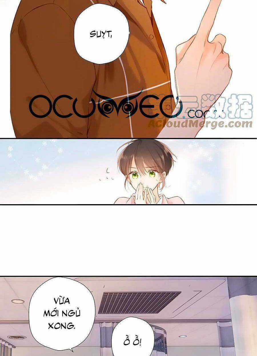 Lại Gặp Được Em - Chapter 148.6 - Trang 18