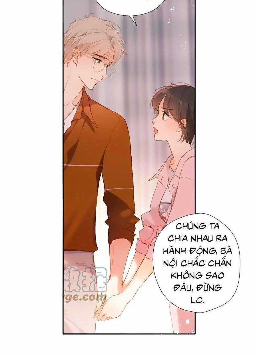 Lại Gặp Được Em - Chapter 148.6 - Trang 24