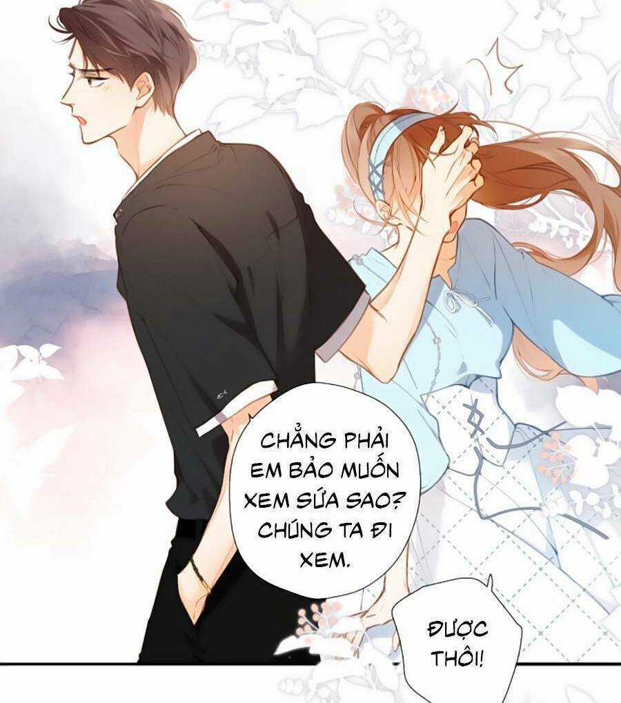 Lại Gặp Được Em - Chapter 148.8 - Trang 22
