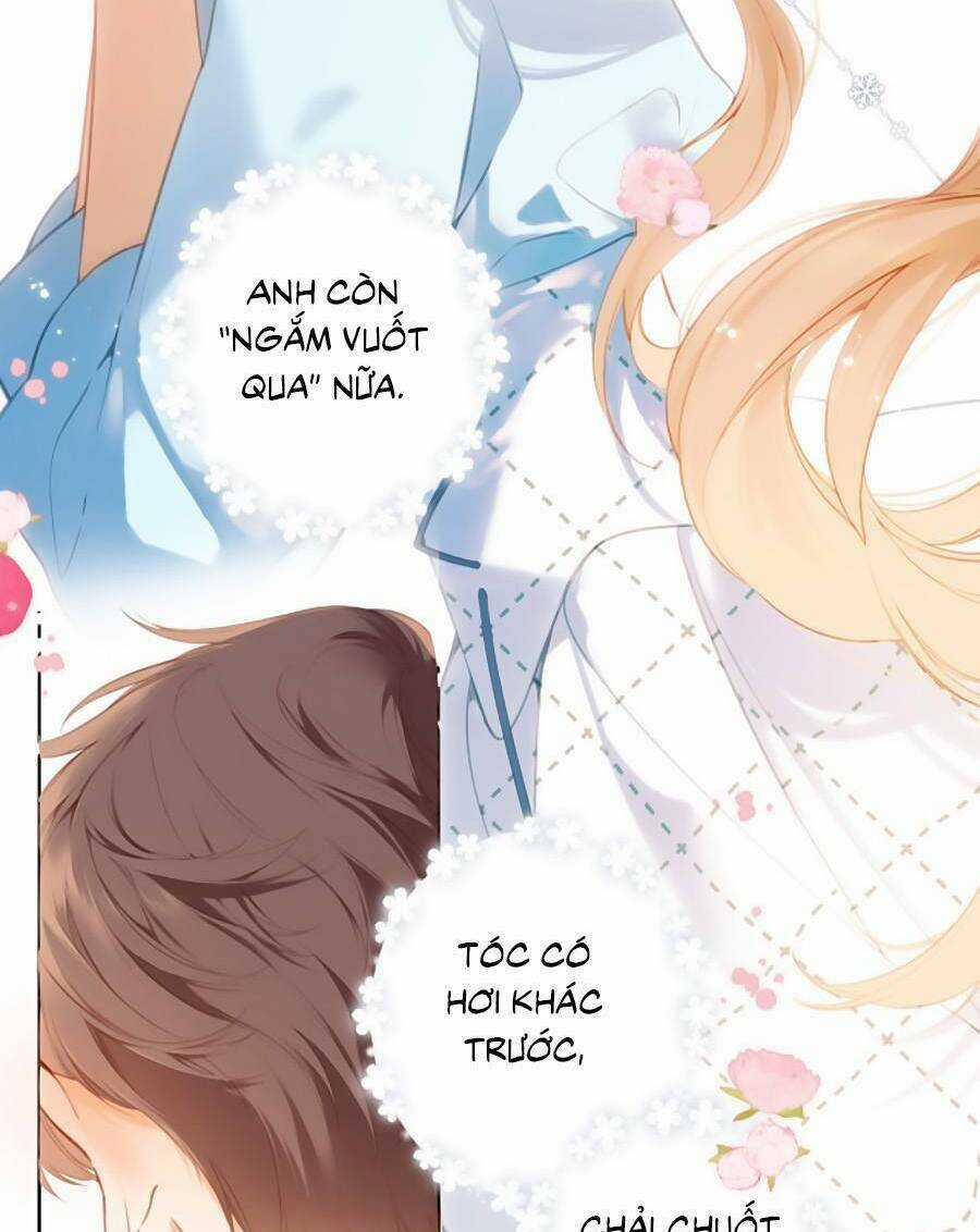 Lại Gặp Được Em - Chapter 148.8 - Trang 29