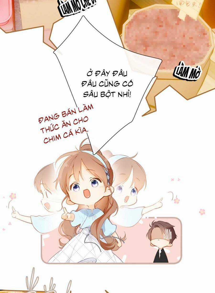 Lại Gặp Được Em - Chapter 148.8 - Trang 5