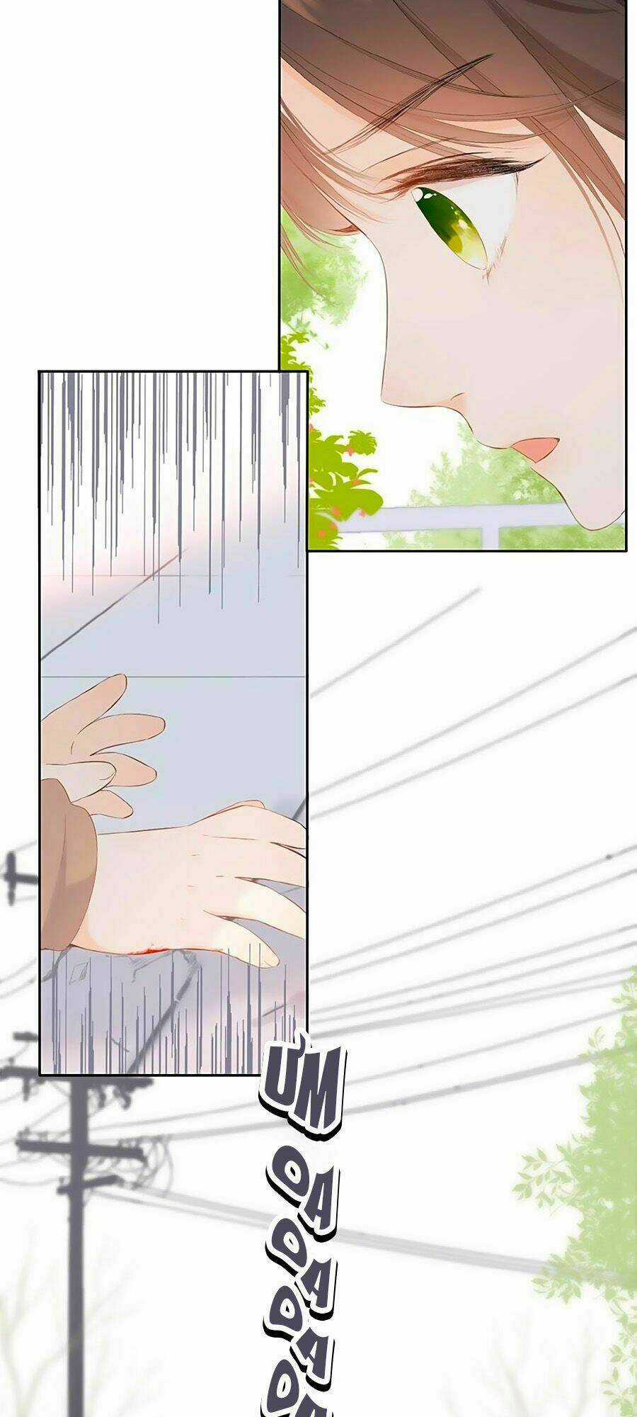 Lại Gặp Được Em - Chapter 16 - Trang 13