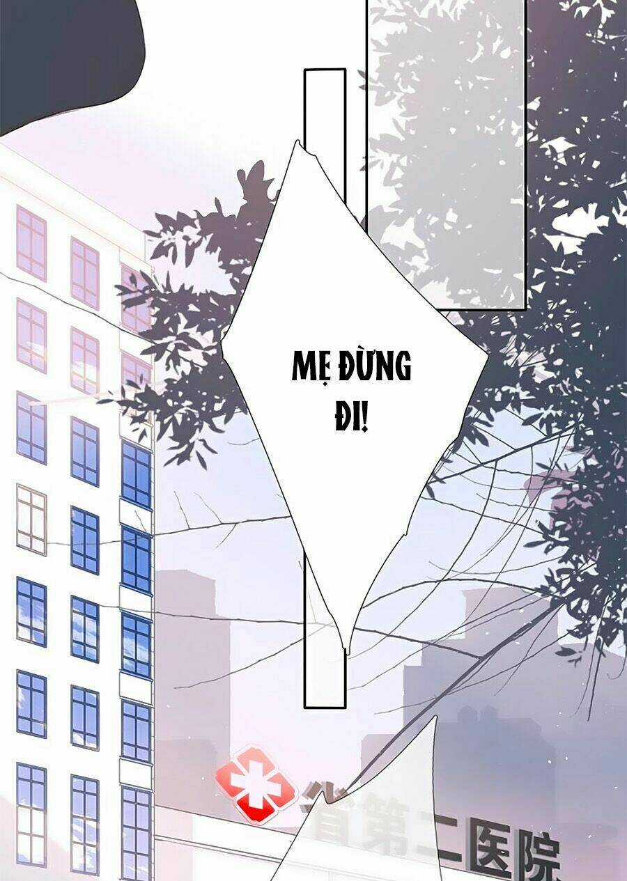 Lại Gặp Được Em - Chapter 23 - Trang 14