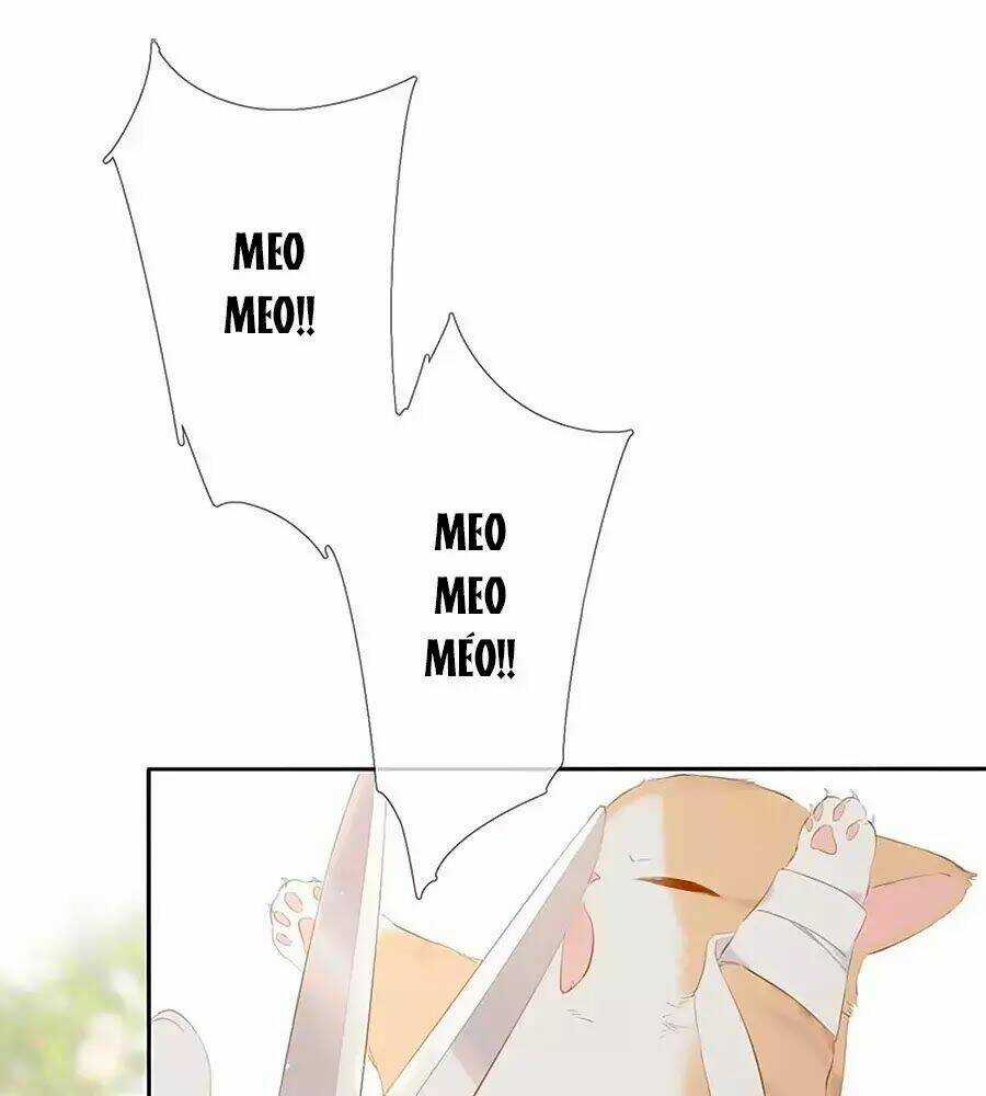 Lại Gặp Được Em - Chapter 25.6 - Trang 19