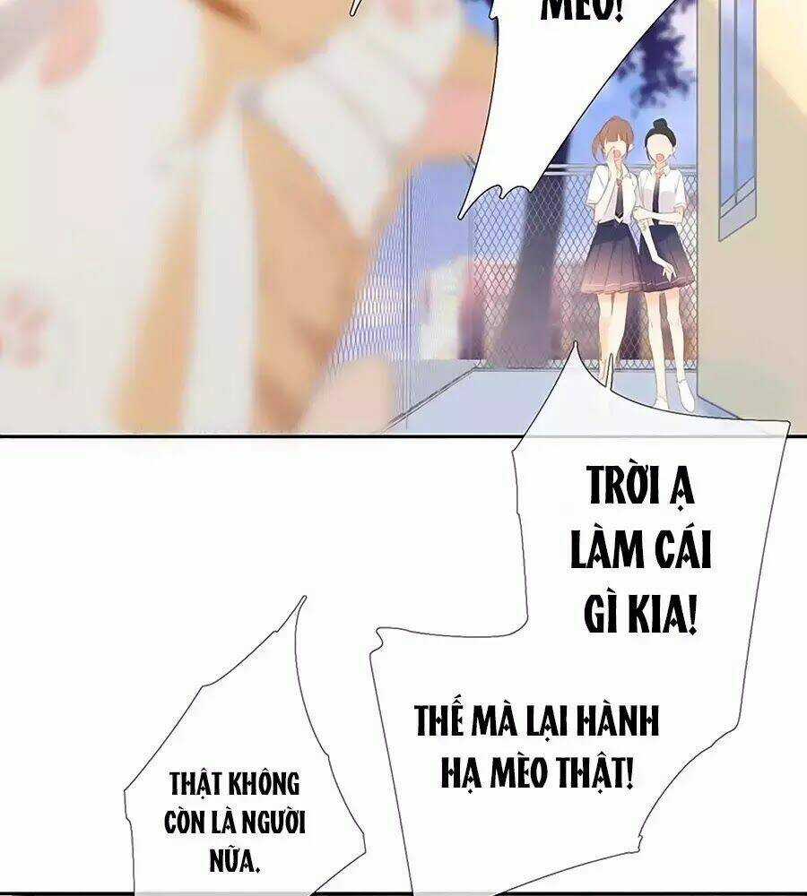 Lại Gặp Được Em - Chapter 25.6 - Trang 22