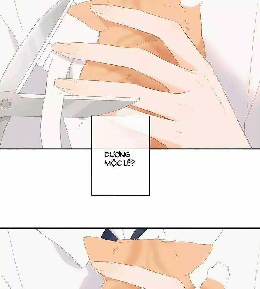 Lại Gặp Được Em - Chapter 25.6 - Trang 28